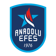 EFS logo
