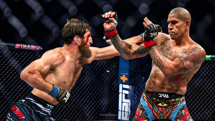 UFC 313 apžvalga